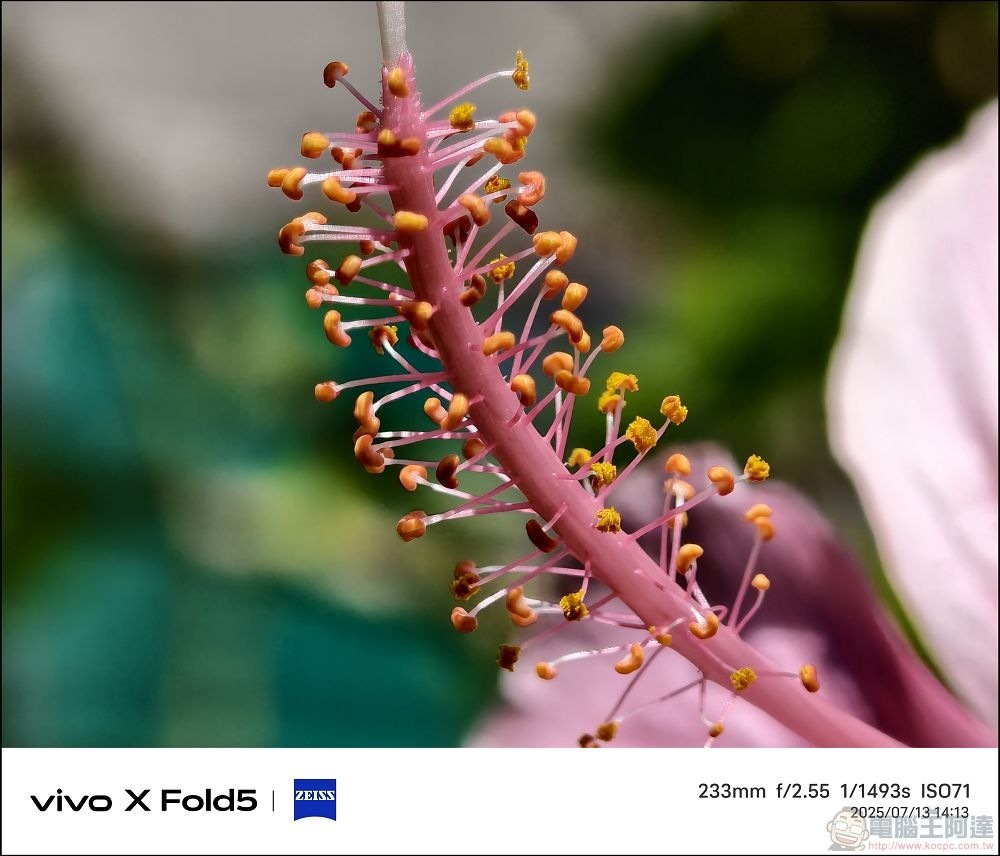 vivo X Fold5 拍攝樣張 - 28 vivo X Fold5 拍攝樣張 - 28