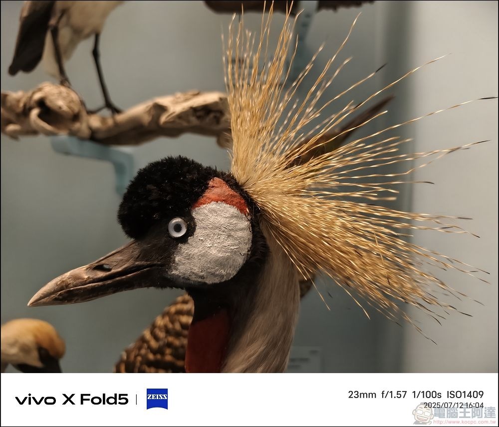 vivo X Fold5 拍攝樣張 - 43 vivo X Fold5 拍攝樣張 - 43