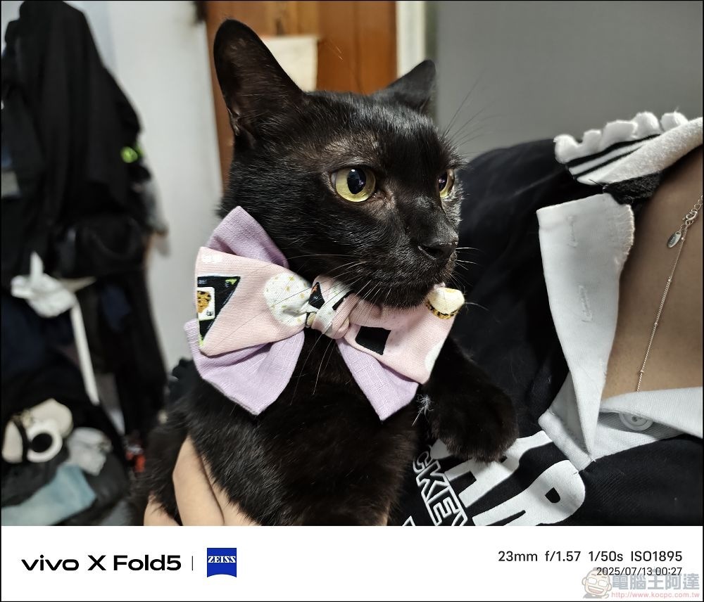 vivo X Fold5 拍攝樣張 - 44 vivo X Fold5 拍攝樣張 - 44