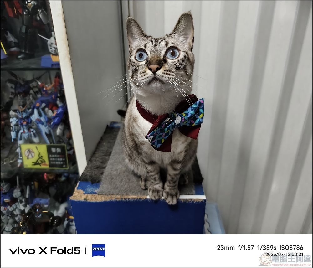 vivo X Fold5 拍攝樣張 - 45 vivo X Fold5 拍攝樣張 - 45
