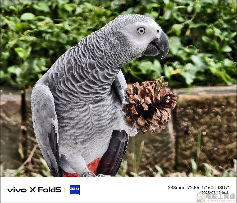 vivo X Fold5 拍攝樣張 - 47 vivo X Fold5 拍攝樣張 - 47