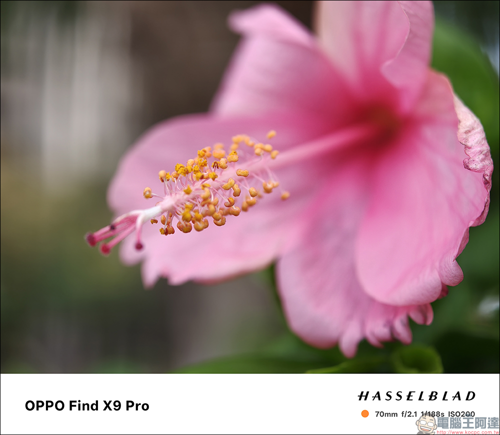 OPPO Find X9 Pro 開箱評測|2 億哈蘇長焦、原色真彩鏡頭登場!年度影像旗艦的質感與實力全面升級 - 電腦王阿達 OPPO Find X9 Pro 開箱評測|2 億哈蘇長焦、原色真彩鏡頭登場!年度影像旗艦的質感與實力全面升級 - 電腦王阿達