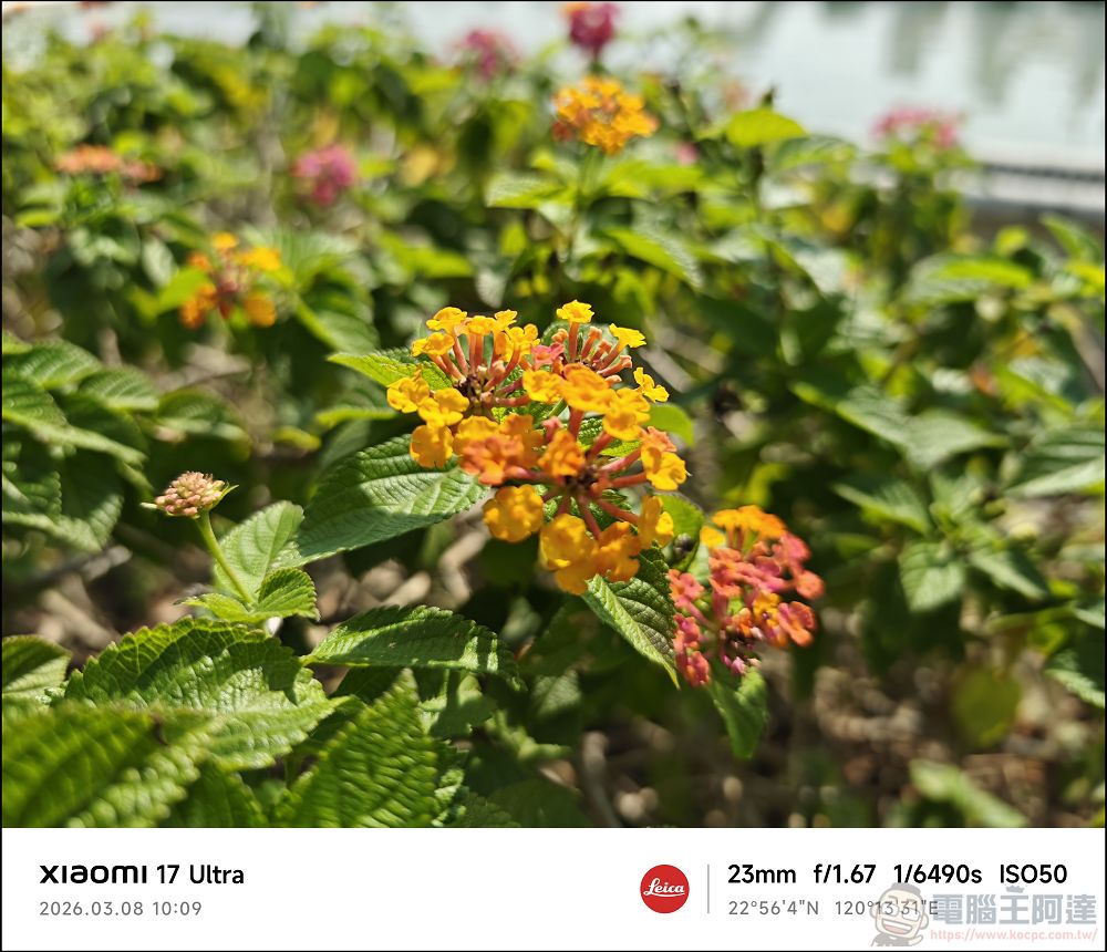 小米 Xiaomi 17 Ultra 開箱實測:2 億畫素連續光學變焦、Snapdragon 8 Elite Gen 5 性能怪獸與星空綠美學 - 電腦王阿達 小米 Xiaomi 17 Ultra 開箱實測:2 億畫素連續光學變焦、Snapdragon 8 Elite Gen 5 性能怪獸與星空綠美學 - 電腦王阿達