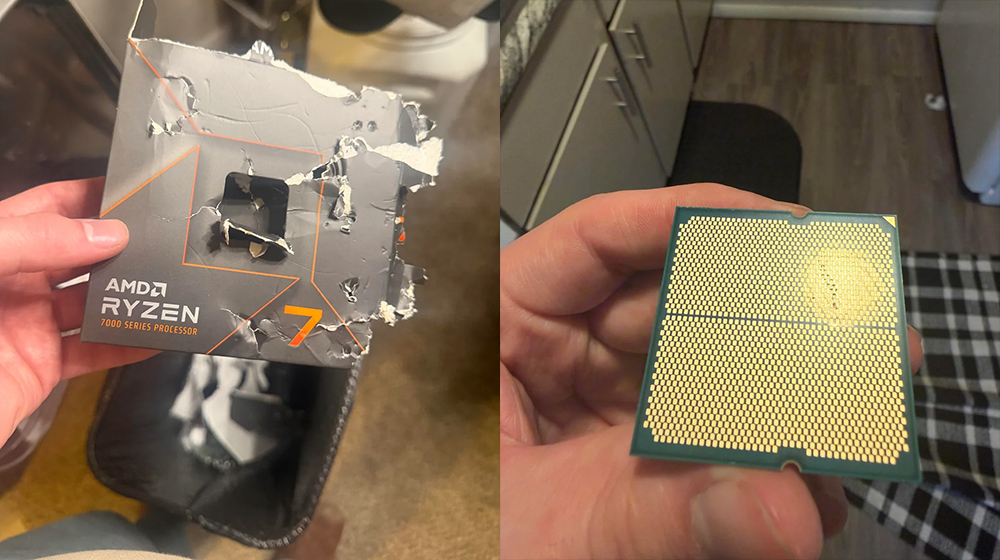 狗狗開箱太狂直接啃爆 AMD Ryzen 7 7700X 飼主心痛近 8 千元飛了 - 電腦王阿達 狗狗開箱太狂直接啃爆 AMD Ryzen 7 7700X 飼主心痛近 8 千元飛了 - 電腦王阿達