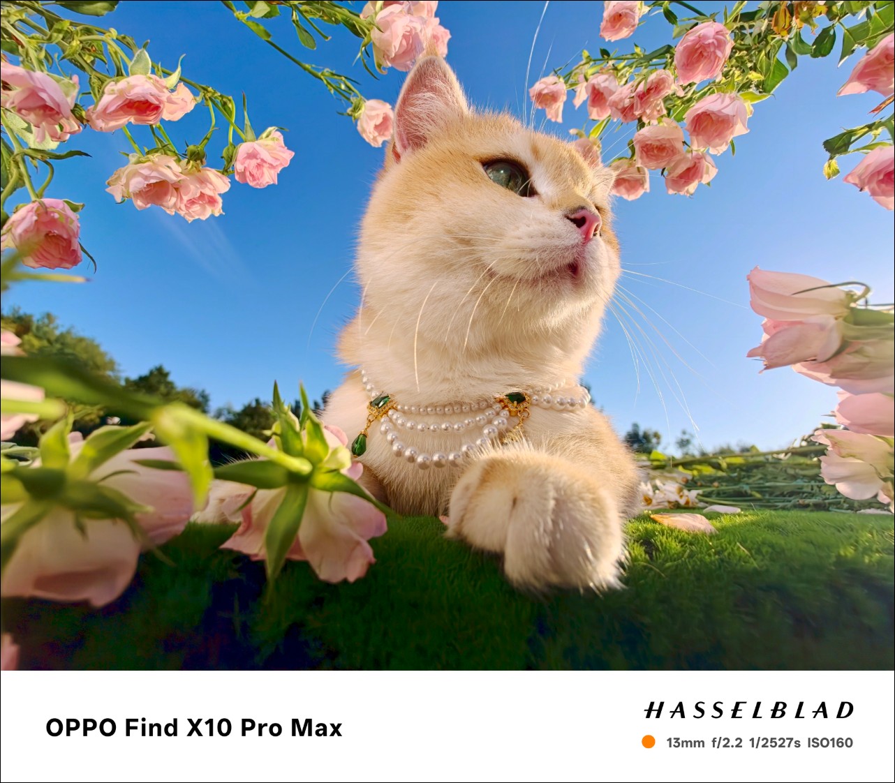 OPPO Find X10 系列在台亮相:哈蘇超清原真影像加持,ColorOS 17 訴求 6 年久用流暢 - 電腦王阿達 OPPO Find X10 系列在台亮相:哈蘇超清原真影像加持,ColorOS 17 訴求 6 年久用流暢 - 電腦王阿達