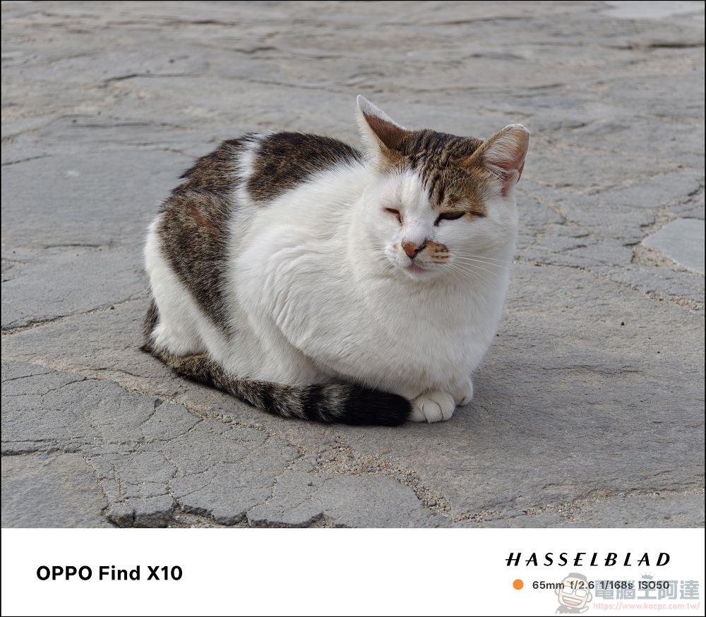 手機攝影真的變天了!OPPO Find X10 Pro Max 三顆兩億畫素鏡頭、超強增距鏡、AI 修圖太扯!8000mAh 續航實測 - 電腦王阿達 手機攝影真的變天了!OPPO Find X10 Pro Max 三顆兩億畫素鏡頭、超強增距鏡、AI 修圖太扯!8000mAh 續航實測 - 電腦王阿達
