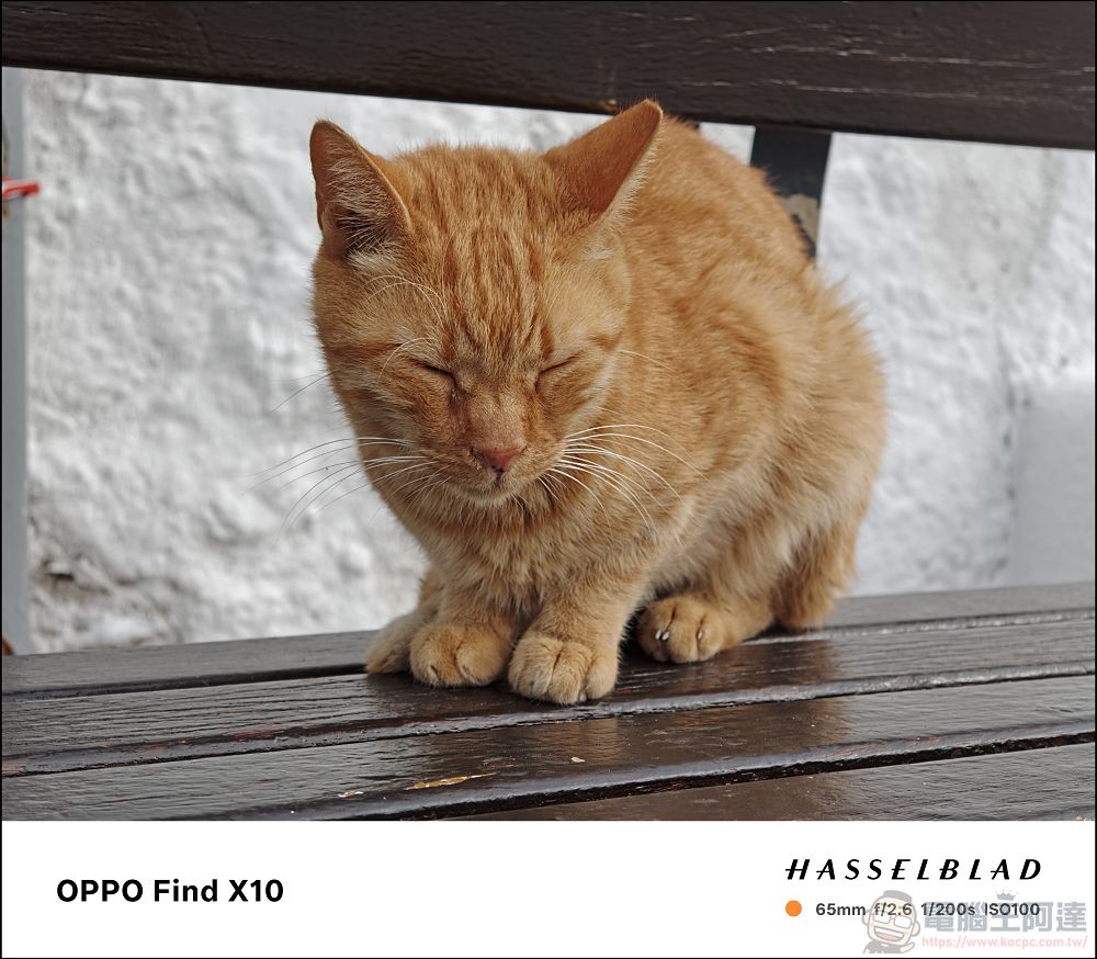 手機攝影真的變天了!OPPO Find X10 Pro Max 三顆兩億畫素鏡頭、超強增距鏡、AI 修圖太扯!8000mAh 續航實測 - 電腦王阿達 手機攝影真的變天了!OPPO Find X10 Pro Max 三顆兩億畫素鏡頭、超強增距鏡、AI 修圖太扯!8000mAh 續航實測 - 電腦王阿達