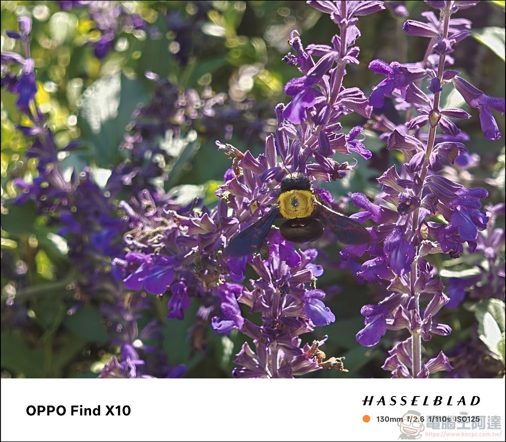 手機攝影真的變天了!OPPO Find X10 Pro Max 三顆兩億畫素鏡頭、超強增距鏡、AI 修圖太扯!8000mAh 續航實測 - 電腦王阿達 手機攝影真的變天了!OPPO Find X10 Pro Max 三顆兩億畫素鏡頭、超強增距鏡、AI 修圖太扯!8000mAh 續航實測 - 電腦王阿達