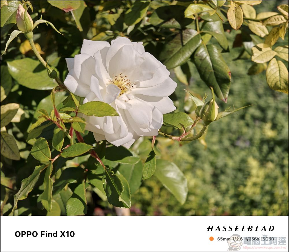 手機攝影真的變天了!OPPO Find X10 Pro Max 三顆兩億畫素鏡頭、超強增距鏡、AI 修圖太扯!8000mAh 續航實測 - 電腦王阿達 手機攝影真的變天了!OPPO Find X10 Pro Max 三顆兩億畫素鏡頭、超強增距鏡、AI 修圖太扯!8000mAh 續航實測 - 電腦王阿達