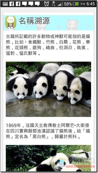 圓仔09 圓仔09