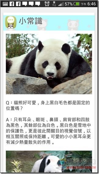 圓仔12 圓仔12