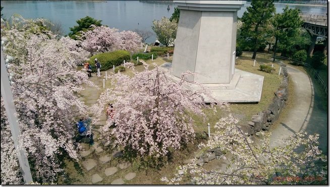 台場自由行 (2) 台場自由行 (2)