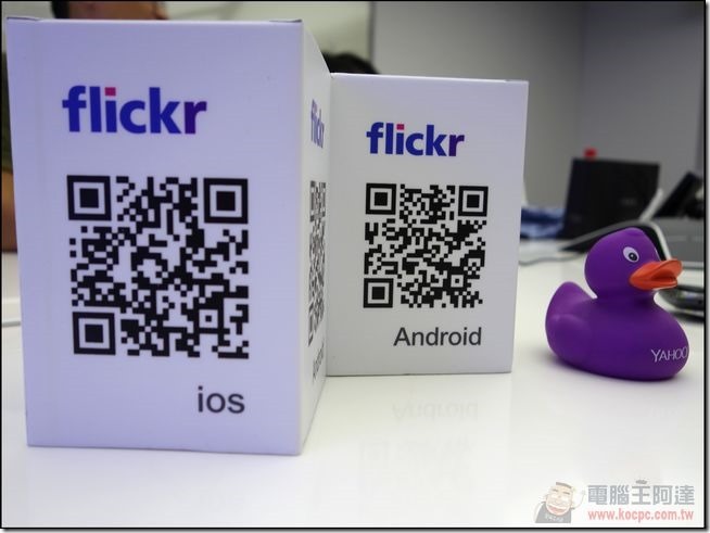 FLICKR (26) FLICKR (26)