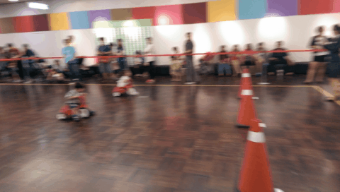 ZOE_0015_01 ZOE_0015_01