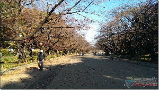 東京自由行之上野27 東京自由行之上野27