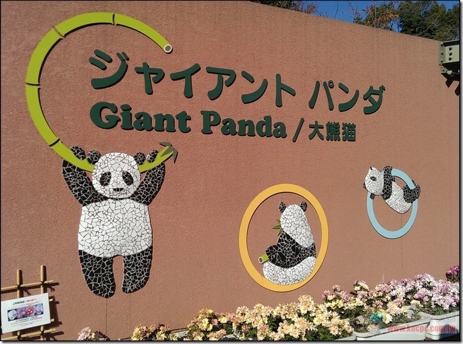東京自由行之上野30 東京自由行之上野30