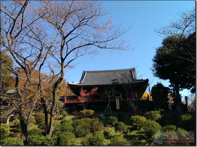 東京自由行之上野49 東京自由行之上野49