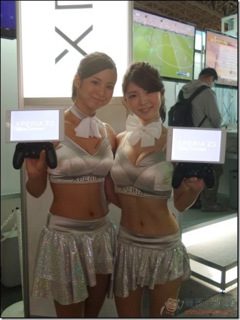 TGS2014 (31) TGS2014 (31)