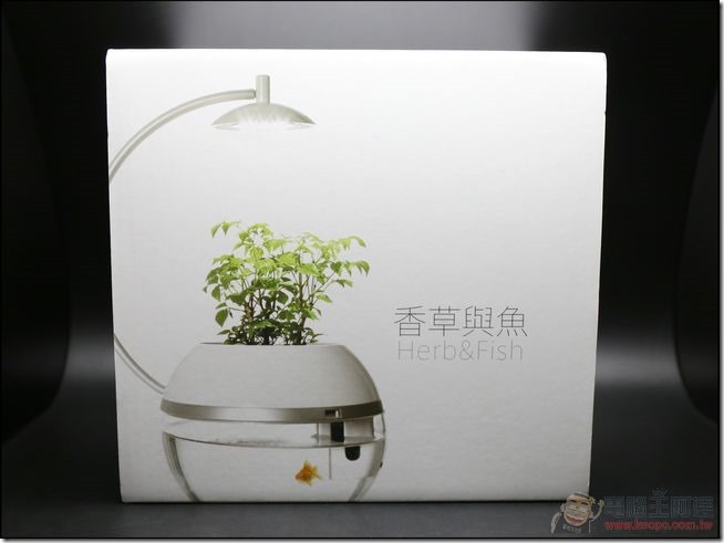 香草與魚-02 香草與魚-02