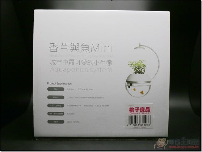 香草與魚-03 香草與魚-03