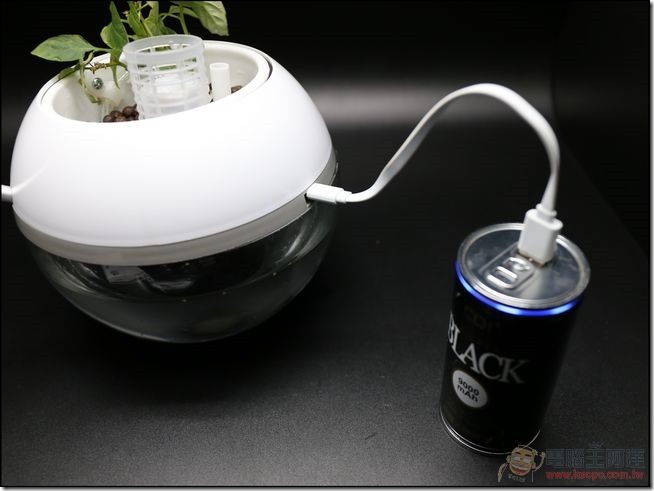 香草與魚-15 香草與魚-15