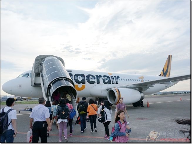 Tiger Airline (12) Tiger Airline (12)