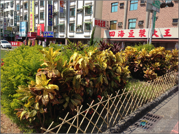 IMG_3325 IMG_3325
