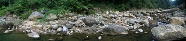 IMG_0902.JPG IMG_0902.JPG
