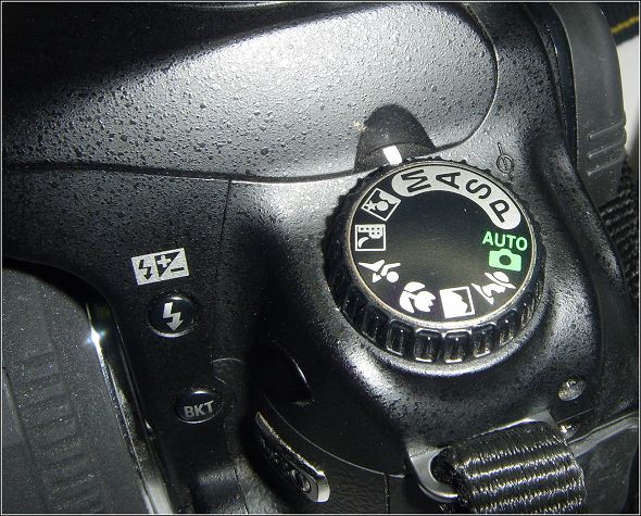 ST830336.JPG ST830336.JPG